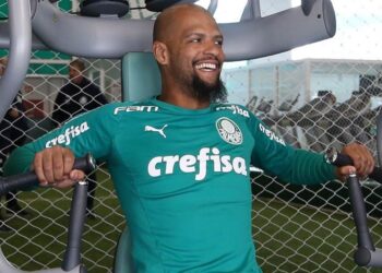 Felipe Melo (Crédito: Divulgação/Cesar Greco/Palmeiras)