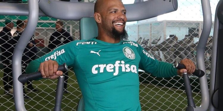 Felipe Melo (Crédito: Divulgação/Cesar Greco/Palmeiras)