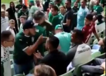 Torcedores do Palmeiras expulsaram dupla de amigos do estádio por não estarem apoiando o clube (Crédito: Reprodução)