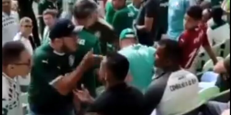 Torcedores do Palmeiras expulsaram dupla de amigos do estádio por não estarem apoiando o clube (Crédito: Reprodução)