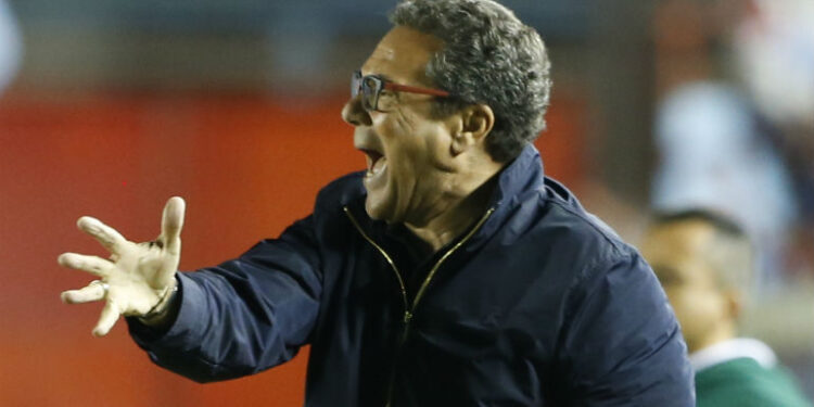 Luxemburgo fala sobre temporada do Palmeiras no Campeonato Paulista (Crédito: Getty Images)