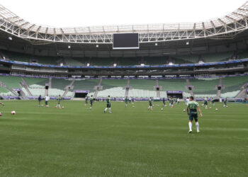 Palmeiras fará outro treino aberto no Allianz Parque (Crédito: César Greco / Palmeiras)