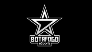 Botafogo lança equipe de eSports em parceria com empresa de entretenimento (Crédito: Divulgação/Botafogo)