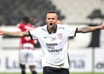 Torcida do Corinthians se empolga com boa atuação de Luan (Crédito: Rodrigo Coca/Agência Corinthians/Fotos Públicas)