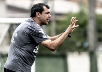 Santos vive fase de recuperação sob o comando de Carille (Crédito: Ivan Storti / Santos FC / Flickr)