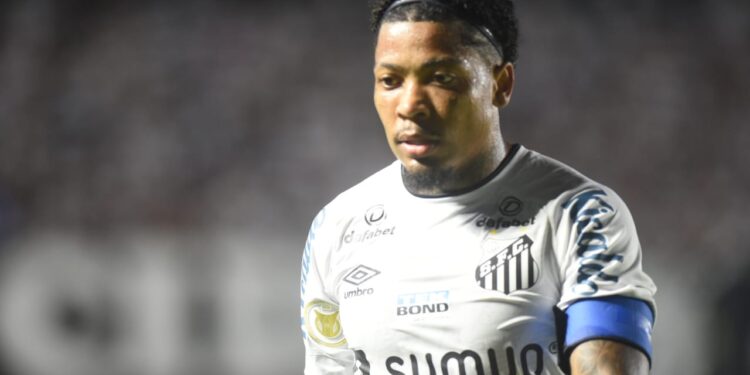 Marinho ganhou elogios de Carille no Santos (Crédito: Ivan Storti/Santos FC)
