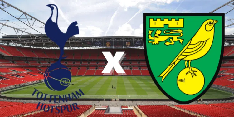 Emblemas de Tottenham e Norwich City (Crédito: Getty Images / Divulgação)