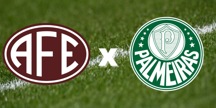 Ferroviária e Palmeiras entram em campo pelo Paulistão (Crédito: GettyImages/Divulgação)