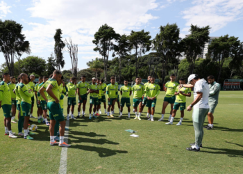 Palmeiras está pronto para a partida (Crédito: Cesar Greco / Palmeiras / Flickr)