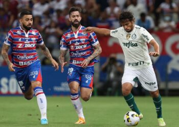 Palmeiras x Fortaleza esquenta rodada do Brasileirão (Crédito: Cesar Greco / Palmeiras / Flickr)