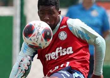 Endrick, do Palmeiras (Crédito: Cesar Greco/SE Palmeiras/Flickr)