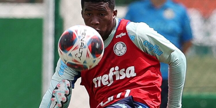 Endrick, do Palmeiras (Crédito: Cesar Greco/SE Palmeiras/Flickr)