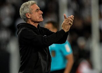 Luís Castro, técnico do Botafogo (Crédito: Thiago Ribeiro/Botafogo)