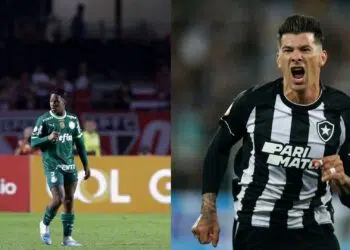 Palmeiras e Botafogo pelo Brasileirão (Crédito: Getty Images)