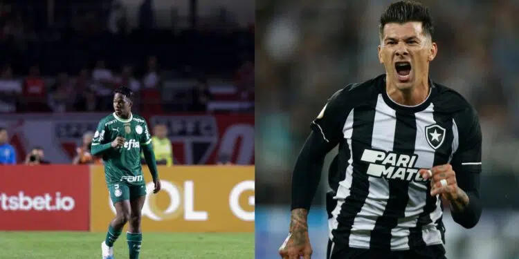 Palmeiras e Botafogo pelo Brasileirão (Crédito: Getty Images)