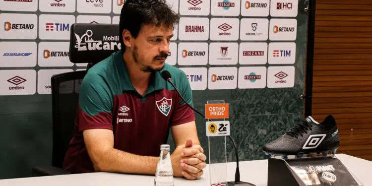 Diniz não gostou nada da atuação do VAR no clássico (Crédito: Marcelo Gonçalves / Fluminense / Flickr)