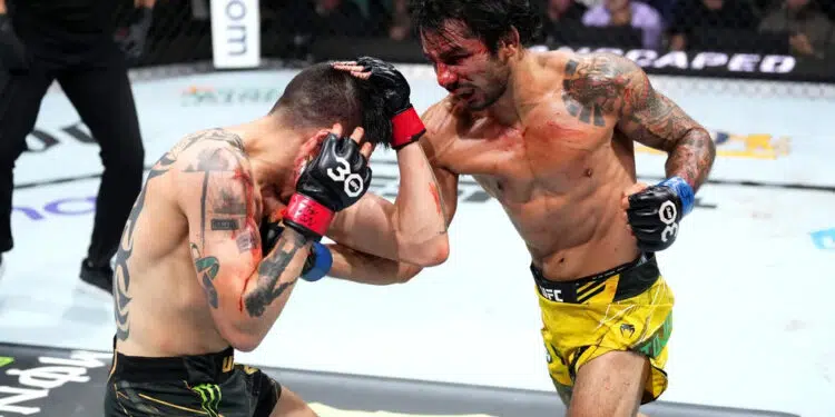 Alexandre Pantoja golpeia Brandon Moreno no UFC 290 (Crédito: Foto: Chris Unger/Zuffa LLC via Getty Images)