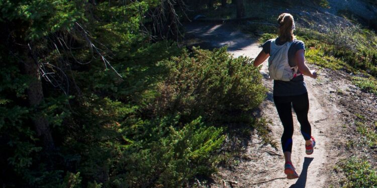 Pessoas em contato com áreas verdes têm maior facilidade para manter os indicadores biológicos equilibrados