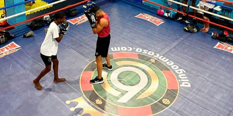 Copa Bingo em Casa vai para a 3ª edição (Crédito: Divulgação)