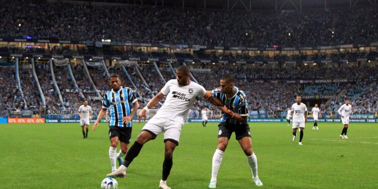 Botafogo x Grêmio: data, horário e onde assistir ao vivo (Crédito: Vítor Silva/ Botafogo)
