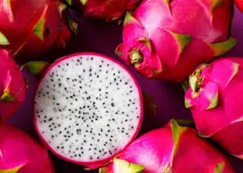 Exótica e nutritiva; conheça os benefícios da pitaya