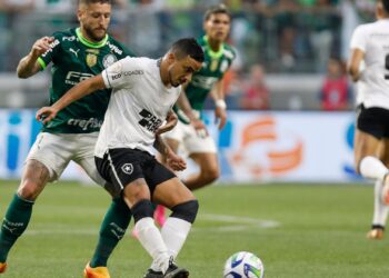 Retrospecto entre Palmeiras e Botafogo (Crédito: Getty Images)