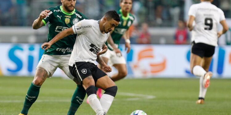 Retrospecto entre Palmeiras e Botafogo (Crédito: Getty Images)