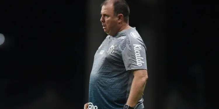 Marcelo Fernandes, técnico do Santos (Crédito: Ivan Storti/Santos/Flickr)