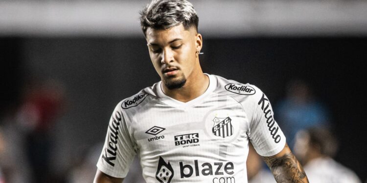 Santos é rebaixado para a Série B pela primeira vez (Crédito: Raul Baretta/Santos FC/Flickr)