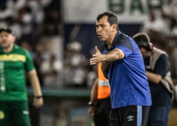 Carille explica ausências no Santos (Crédito: Flickr Santos / Raul Baretta)