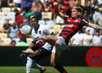 Flamengo contra o Botafogo (Crédito: Vítor Silva / Botafogo / Flickr)