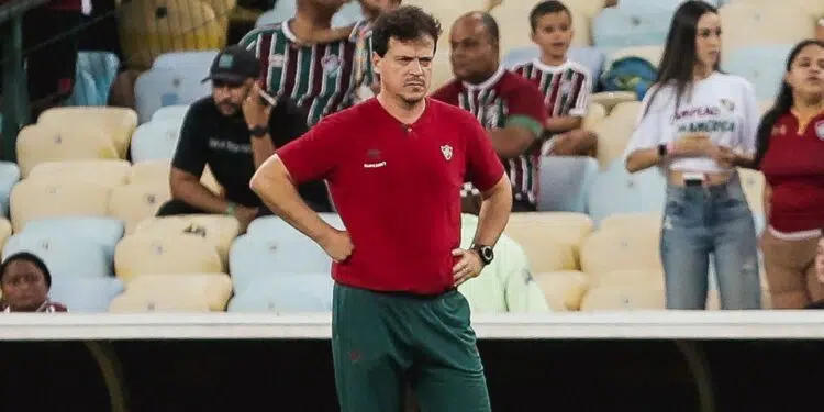Fernando Diniz, técnico do Fluminense (Crédito: Lucas Merçon/Fluminense/Flickr)