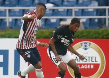 Botafogo (Crédito: Vítor Silva / Botafogo / Flickr)