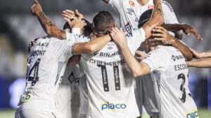 Santos vence Brusque pela Série B (Crédito: Flickr Santos / Raul Baretta)