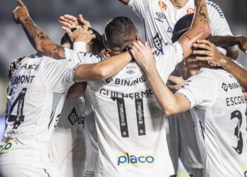 Santos vence Brusque pela Série B (Crédito: Flickr Santos / Raul Baretta)