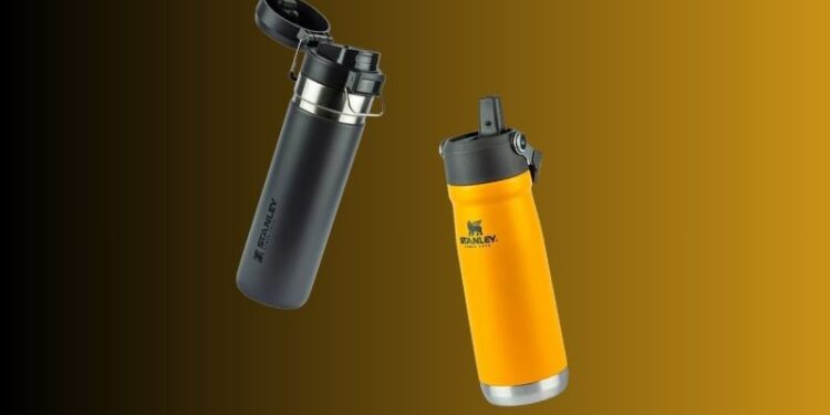 Com variados modelos, selecionamos algumas garrafas da Stanley à venda por preços convidativos na loja do Mercado Livre que podem te interessar (Crédito: Créditos: Reprodução/Mercado Livre)