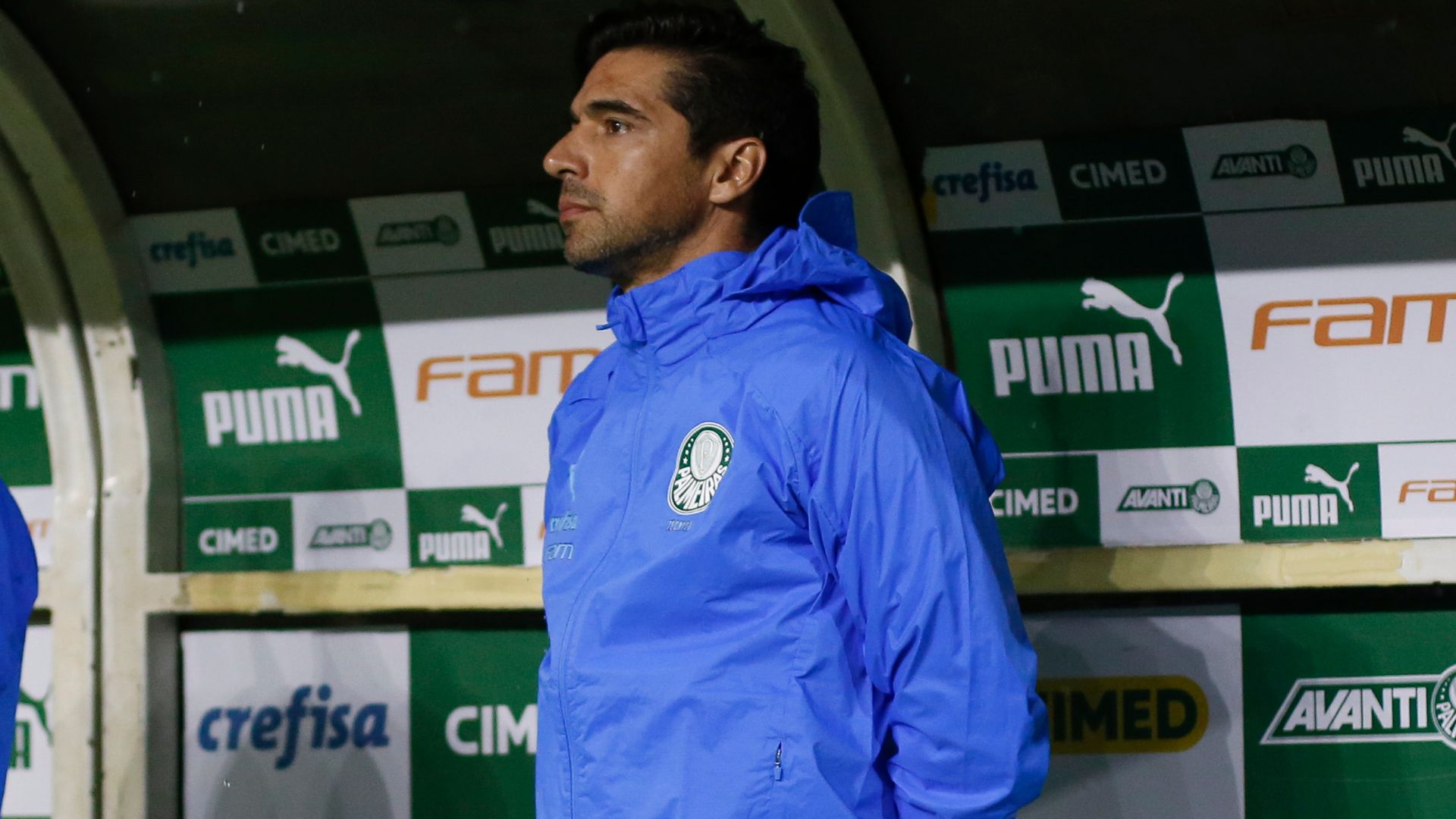Palmeiras anuncia novo reforço - Getty Images