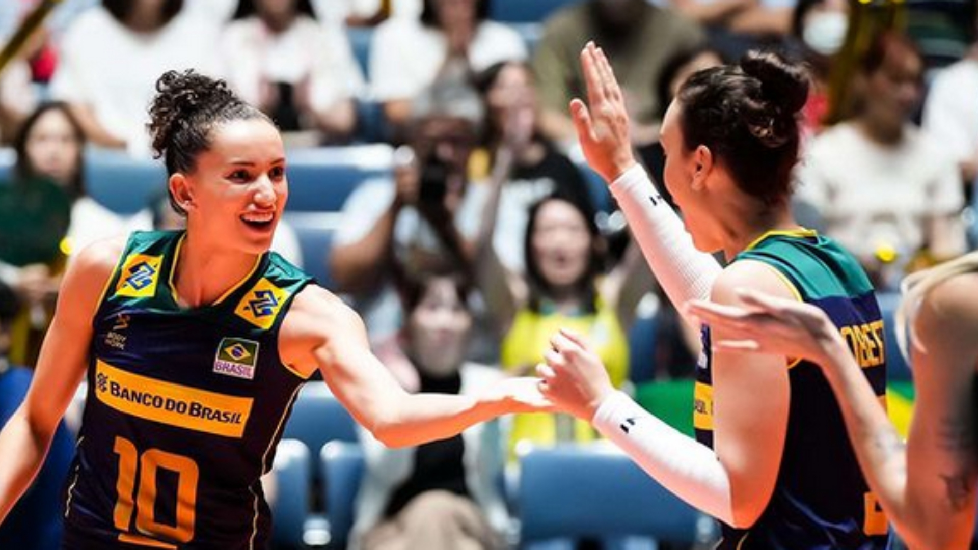 Seleção Brasileira de Vôlei - Reprodução / Twitter / CBV