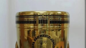 Confira todos os campões da Copinha - Agência Paulista/ Flickr