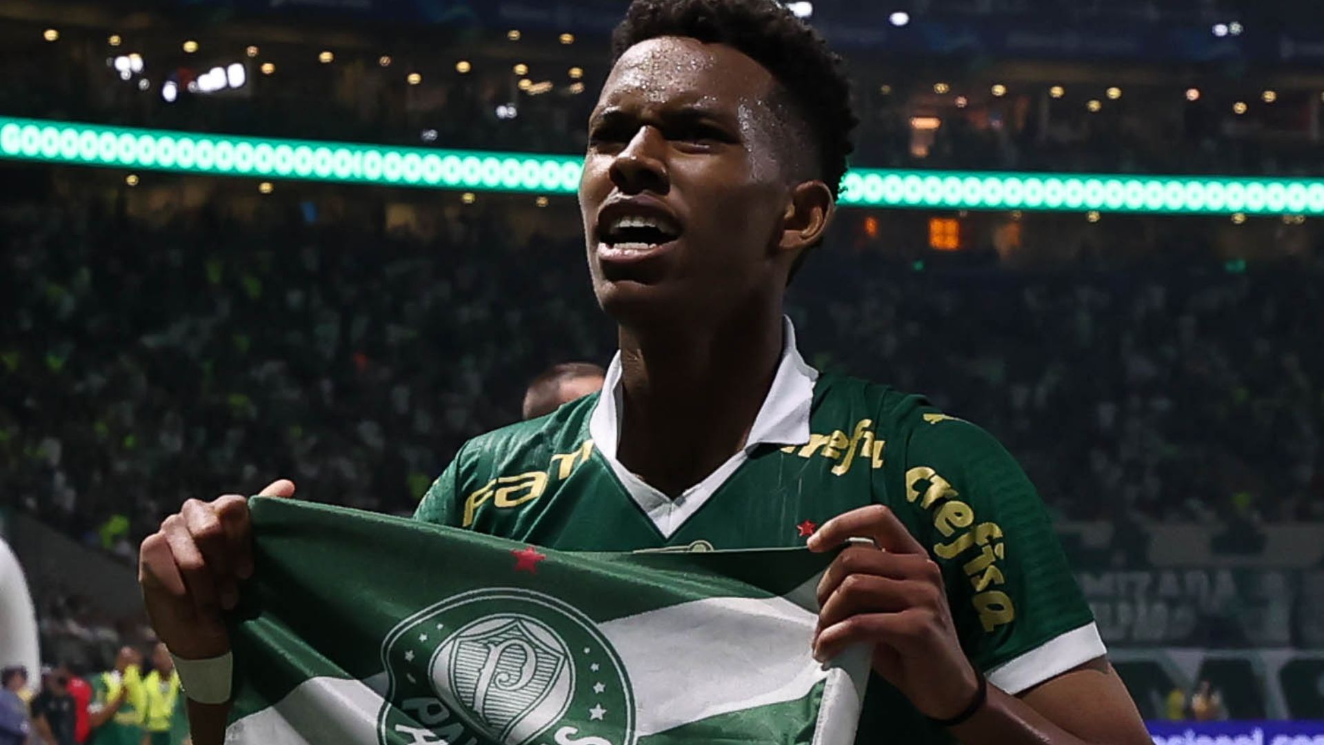 Palmeiras coloca valor maior que a multa em Estêvão - Flickr Palmeiras / Cesar Greco