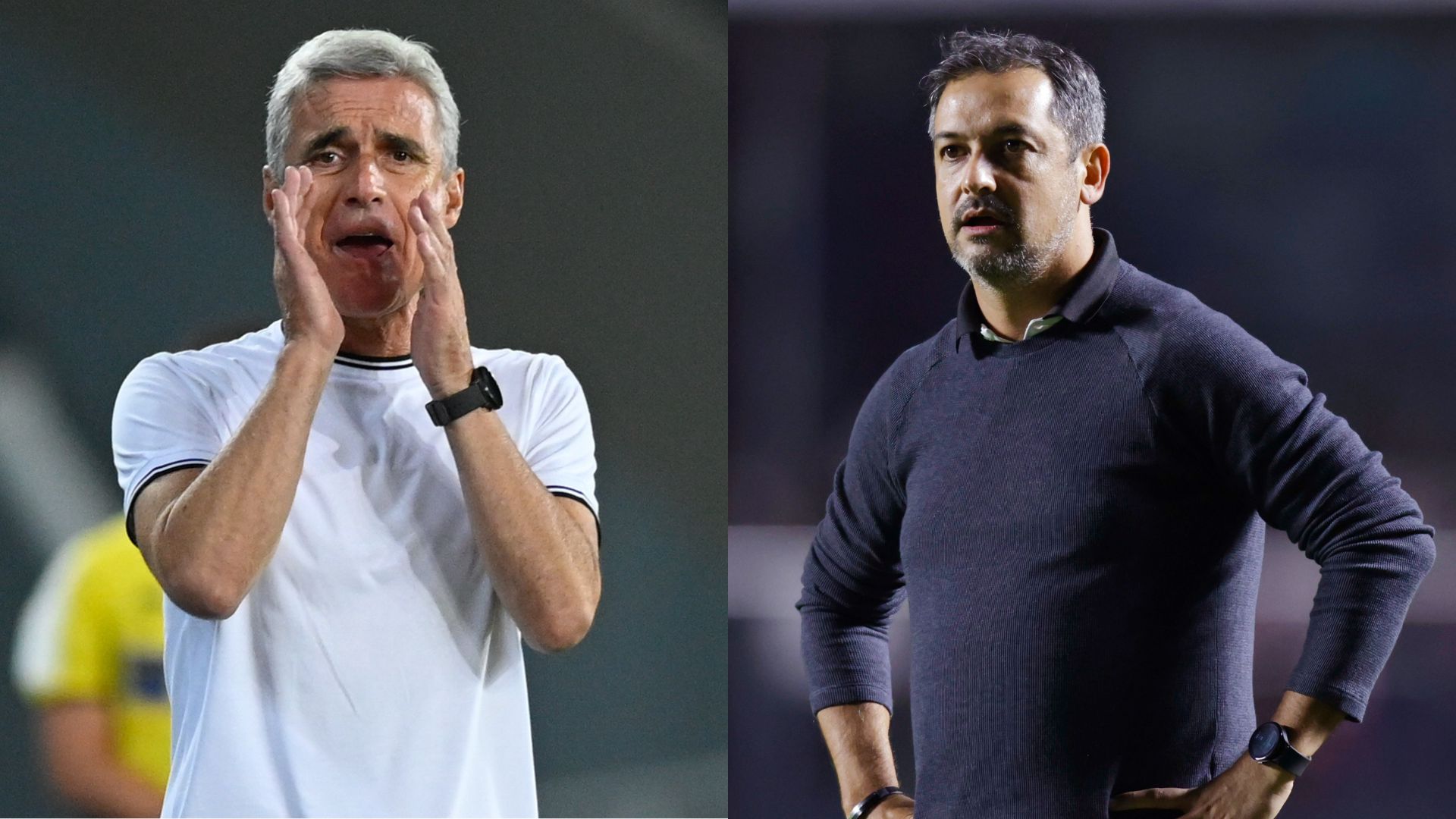 Botafogo x Ceará: saiba onde assistir ao duelo - GettyImages