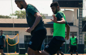 Figueirense confirma novos casos positivos de coronavírus - Patrick Floriani/FFC