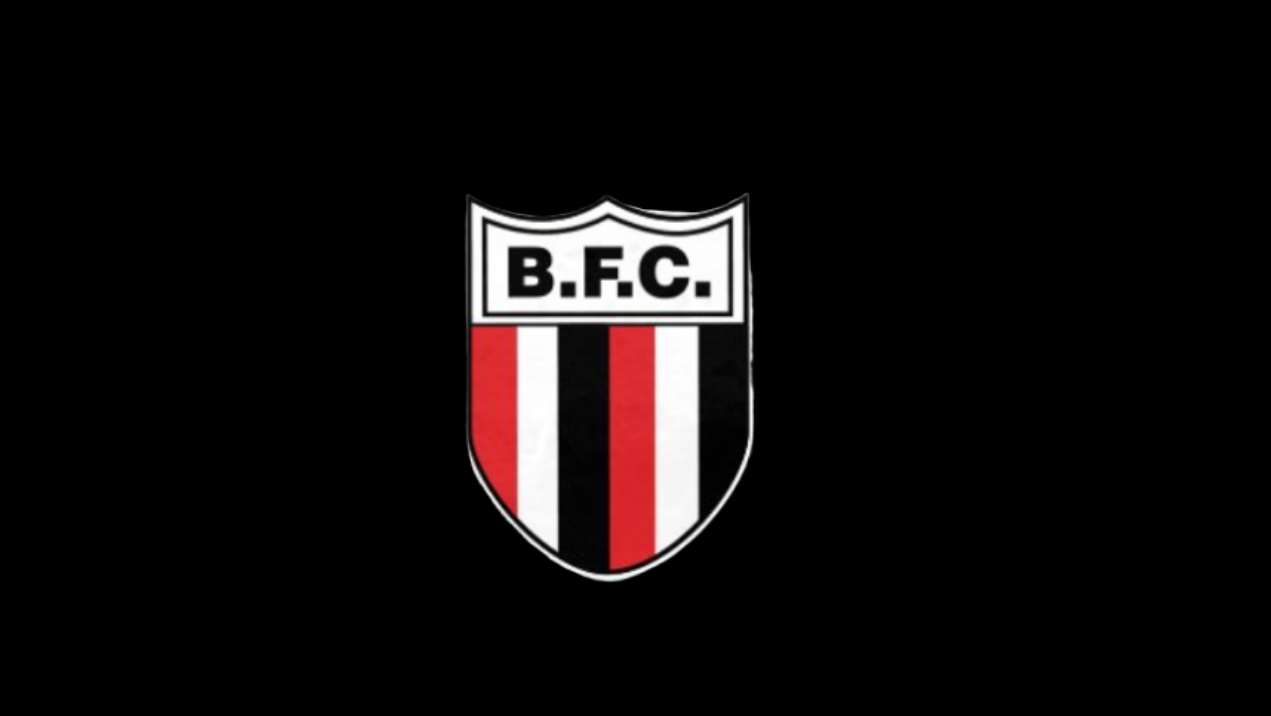 Clube paulista corta direito de imagem do elenco sem negociar e vinte deles entram com medida extrajudicial - Divulgação/Botafogo-SP