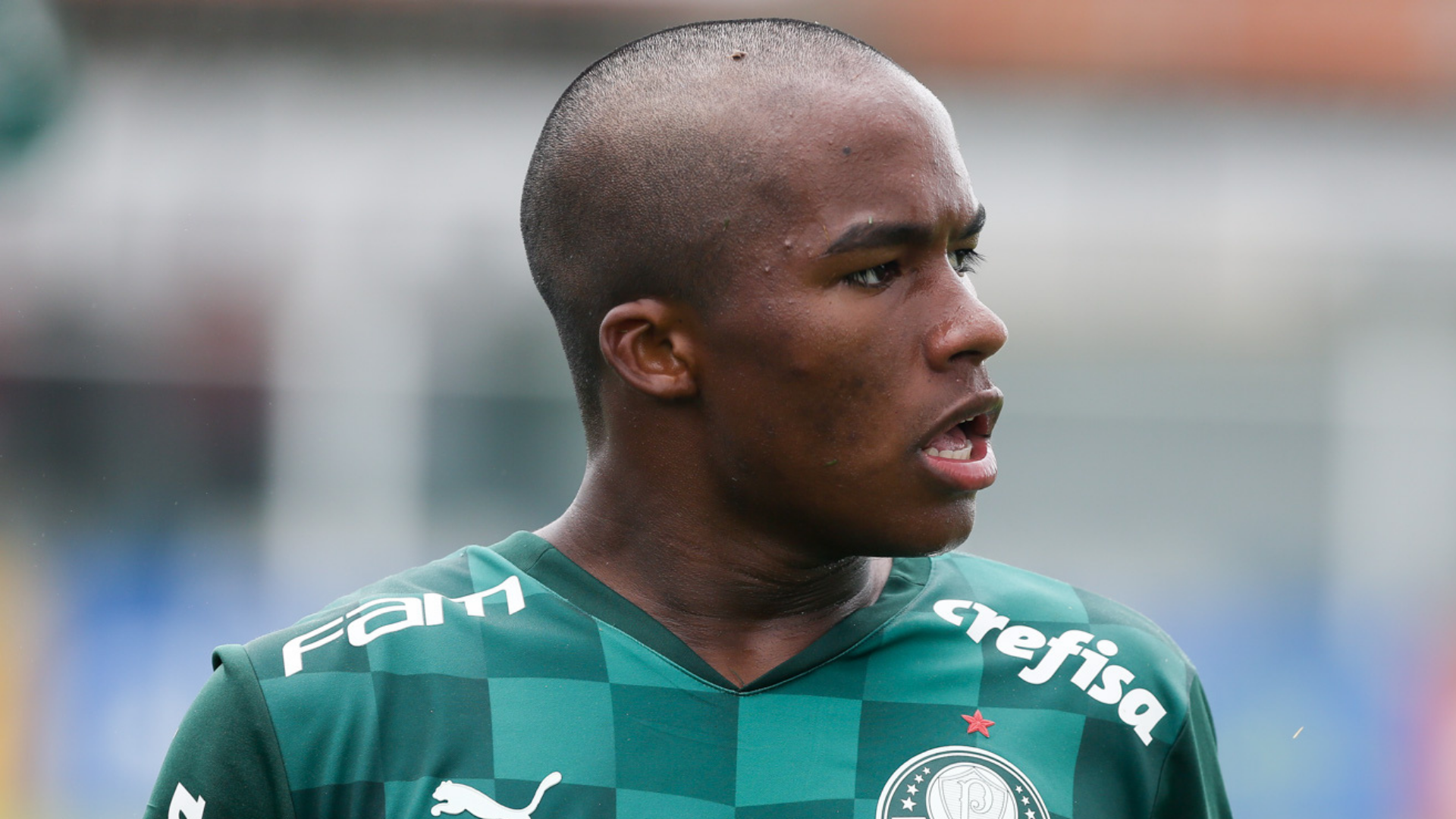 Endrick é a grande joia do Palmeiras - Fabio Menotti / Palmeiras / Flickr