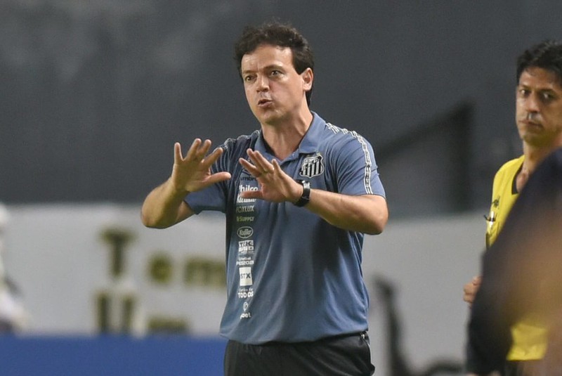Fernando Diniz criticou o rendimento defensivo do Santos - Ivan Storti / Santos FC / Flickr