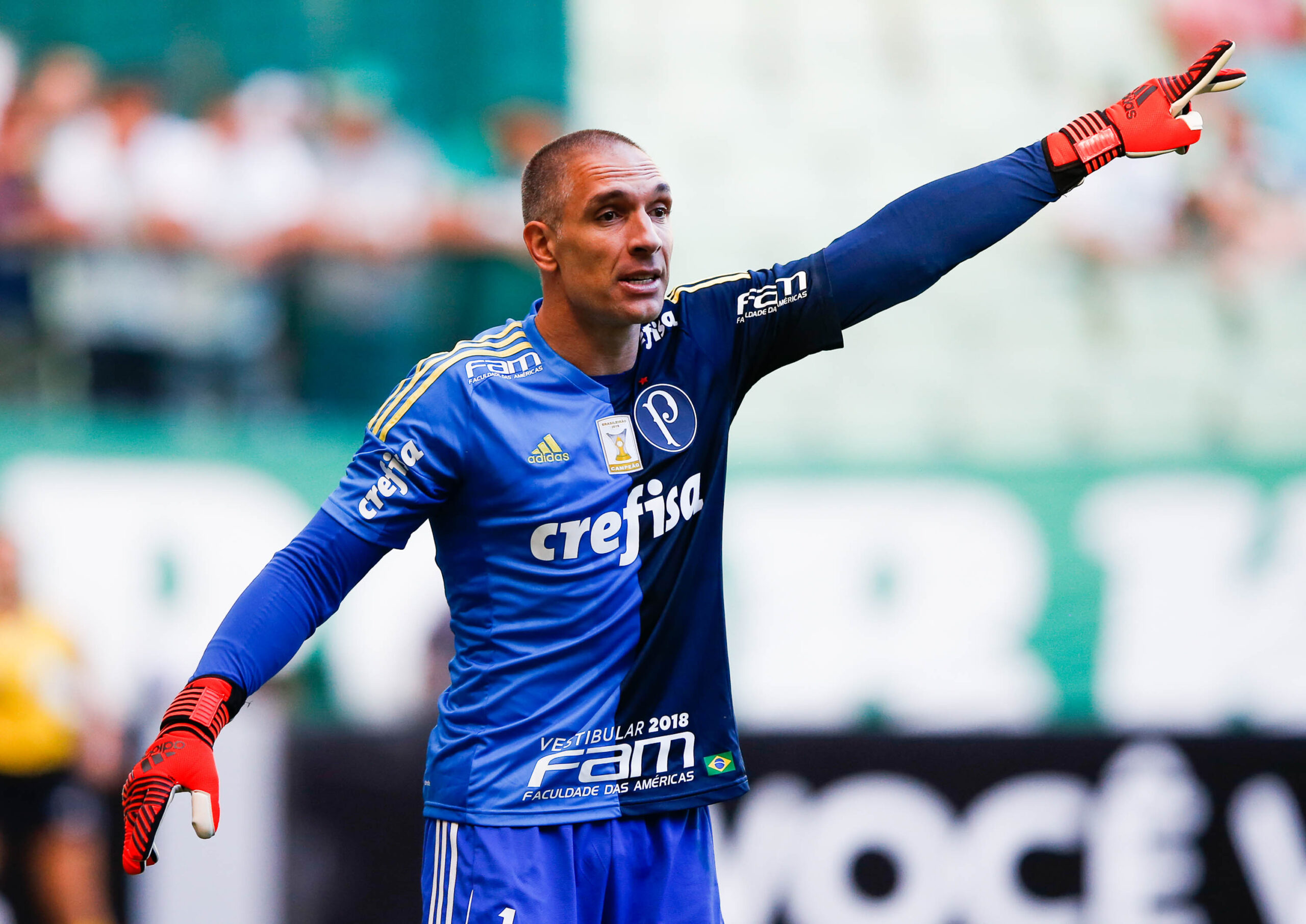 Goleiro fez história e ficou marcado por atuações no Vasco e no Palmeiras - Getty Images/Divulgação