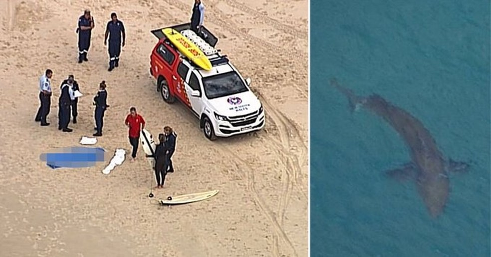 Surfista de 60 anos morre após ataque de tubarão na Austrália - Transmissão/ 9 News