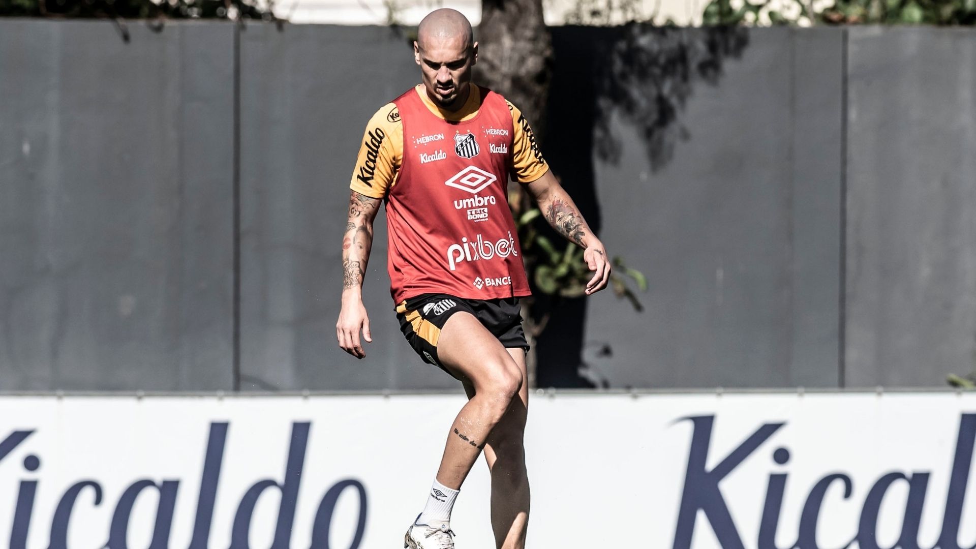 O Santos quer focar no Brasileirão após eliminação na Sul-Americana - Ivan Storti/Santos FC