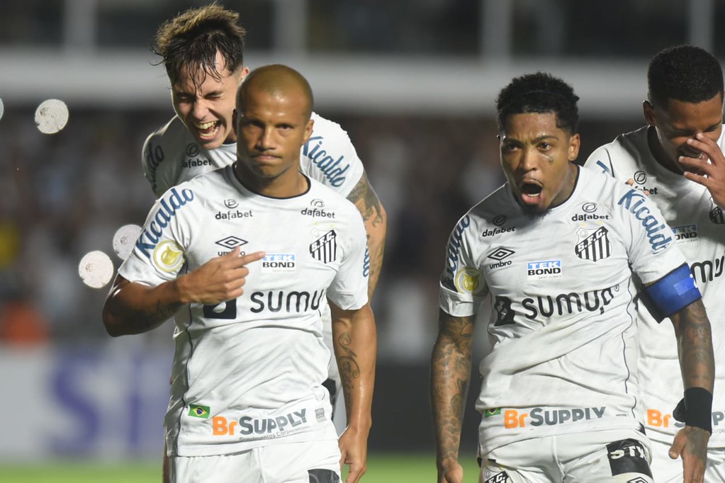 Brasileirão: Confira a situação dos principais rivais do Santos na luta contra o rebaixamento - Ivan Storti/Santos FC/Fotos Públicas