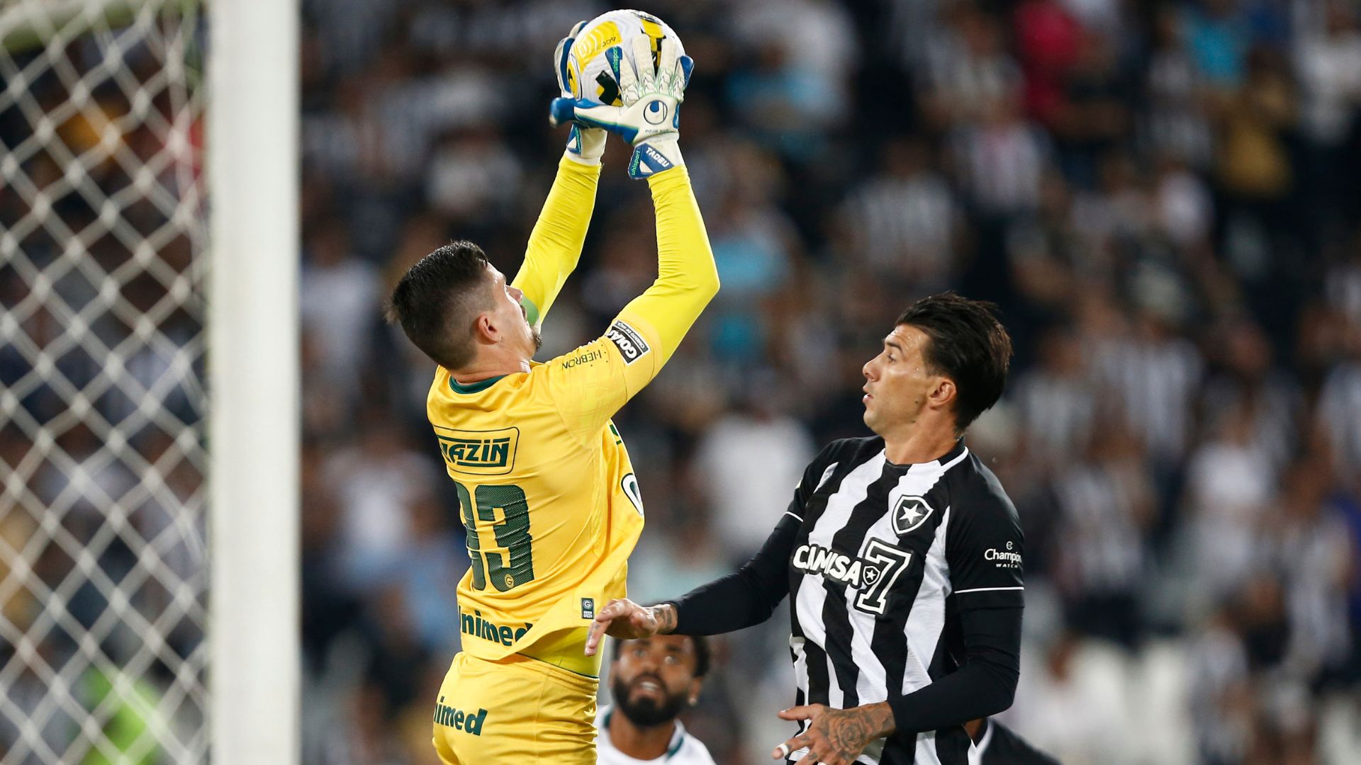 Goiás: Tadeu celebra marca expressiva no Campeonato Brasileiro - GettyImages